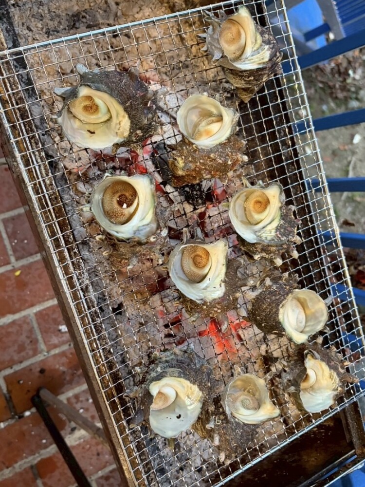 🌸慰安行事🌸