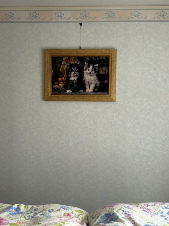 絵画絨毯