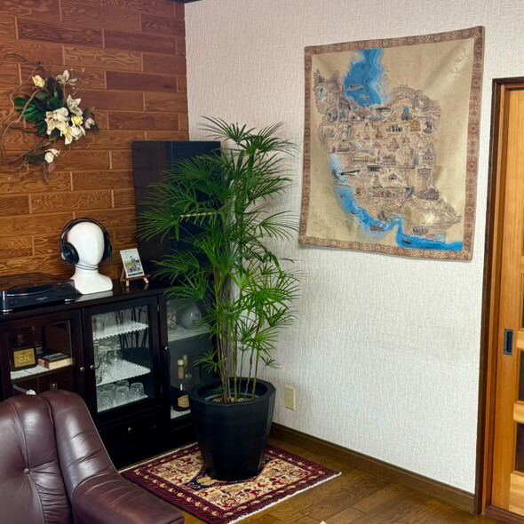 観葉植物と絨毯