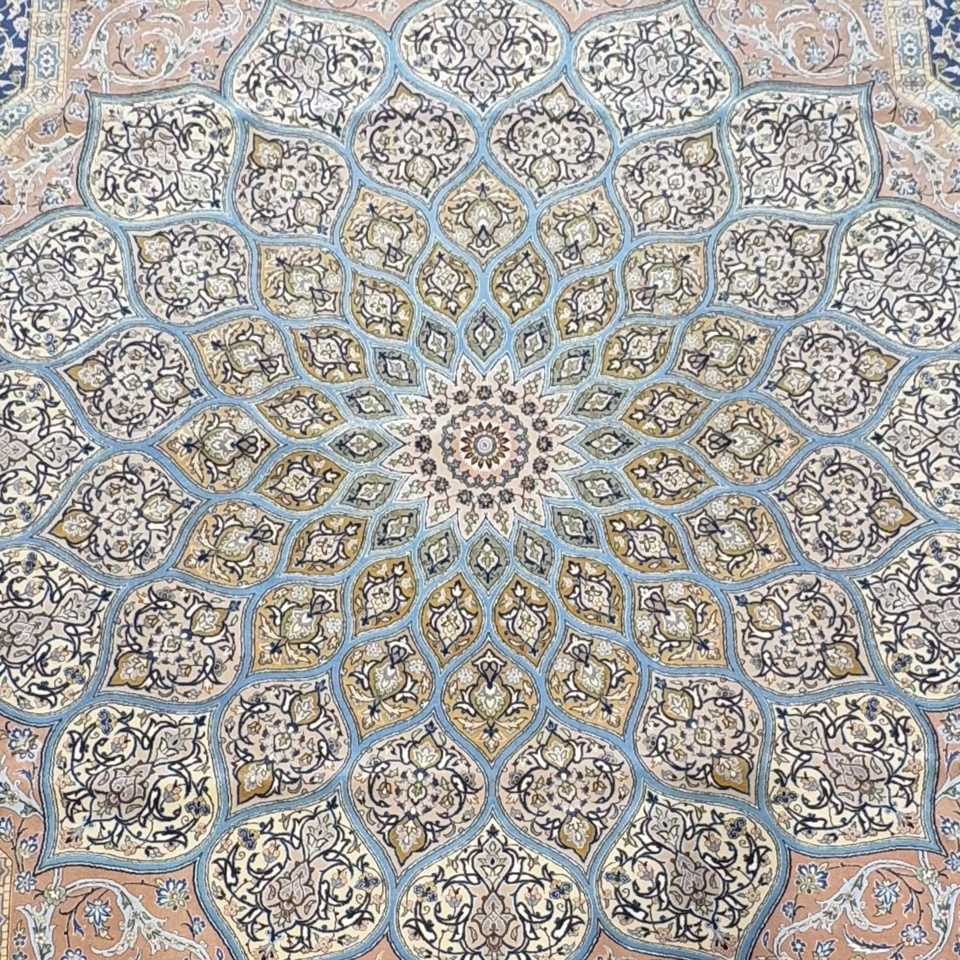 Esfahan-Modares　293×203